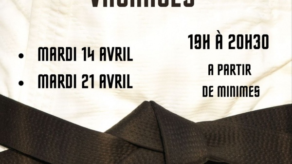 Entrainement départemental Judo