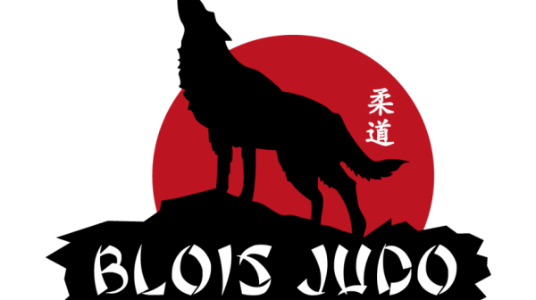 RENCONTRE PAR EQUIPE DU BLOIS JUDO